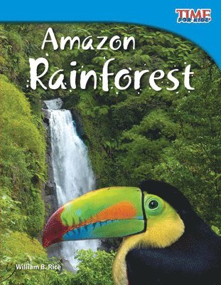 Amazon Rainforest 1