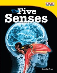 bokomslag The Five Senses