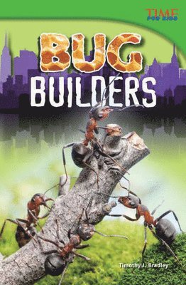 Timothy J. Bradley, Timothy Bradley - Bug Builders, Häftad