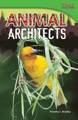 Timothy J. Bradley, Timothy Bradley - Animal Architects, Häftad
