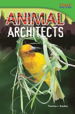 bokomslag Animal Architects