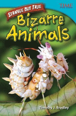 Timothy J. Bradley, Timothy Bradley, Timothy J Bradley - Strange but True: Bizarre Animals, Häftad