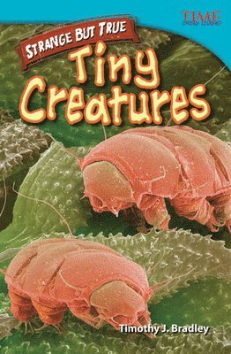 Timothy J. Bradley, Timothy Bradley - Strange but True: Tiny Creatures, Häftad