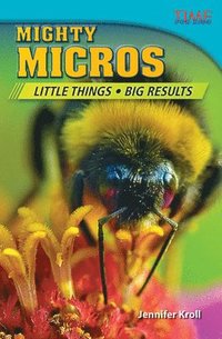 bokomslag Mighty Micros: Little Things, Big Results