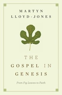bokomslag Gospel In Genesis