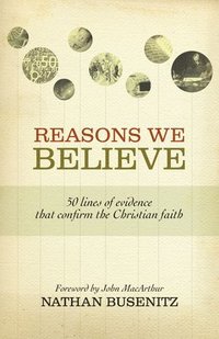 bokomslag Reasons We Believe