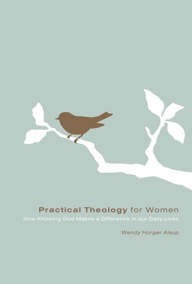 bokomslag Practical Theology for Women