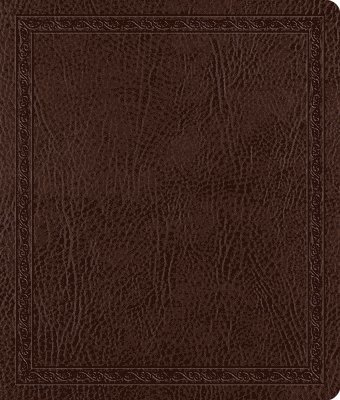 ESV Journaling Bible 1