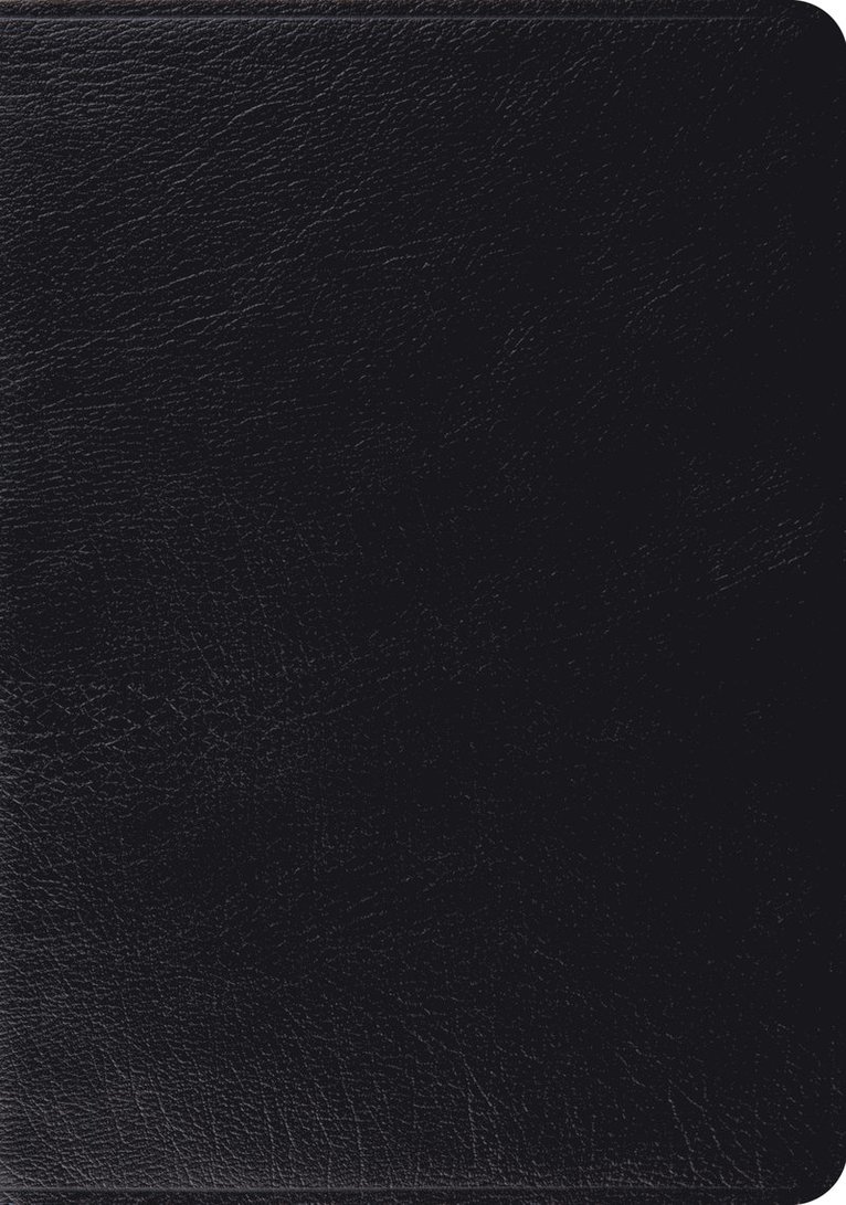 Esv Bibles - ESV Study Bible, Inbunden