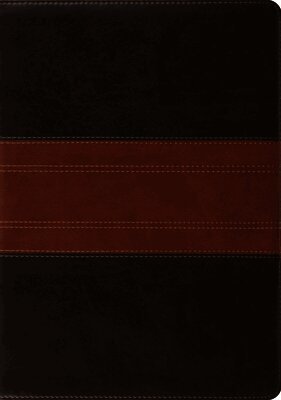 Esv Bibles - Study Bible-ESV-Trail Design, Inbunden