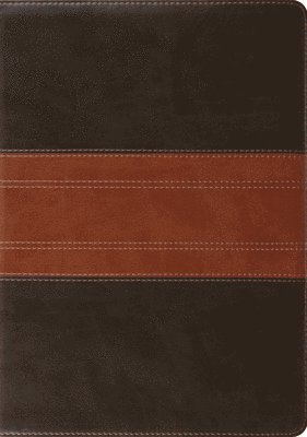 bokomslag ESV Study Bible