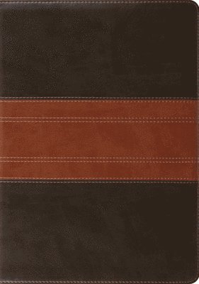 bokomslag Study Bible-ESV-Trail Design