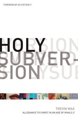 bokomslag Holy Subversion