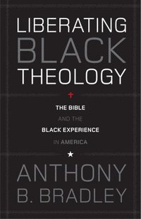 bokomslag Liberating Black Theology