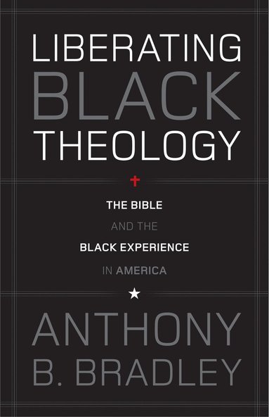 bokomslag Liberating Black Theology