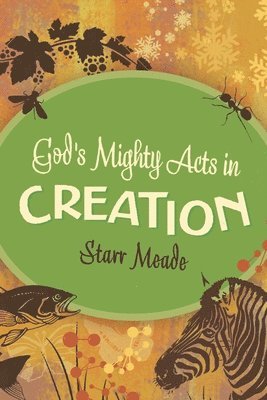 Starr Meade - God's Mighty Acts in Creation, Häftad
