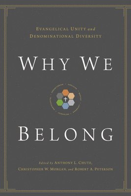 bokomslag Why We Belong