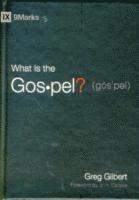 bokomslag What Is the Gospel?
