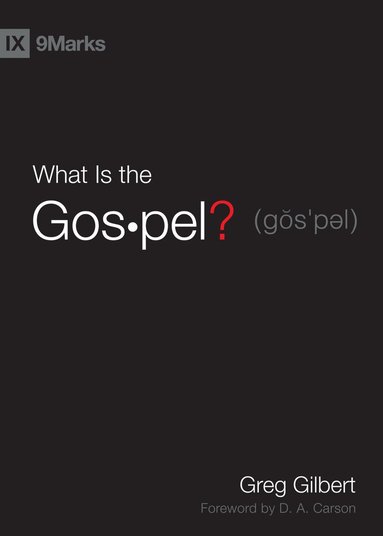 bokomslag What Is the Gospel?