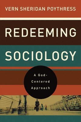 bokomslag Redeeming Sociology