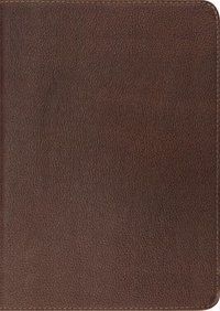 bokomslag ESV Study Bible