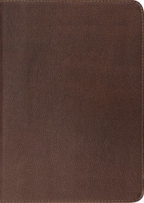 bokomslag ESV Study Bible