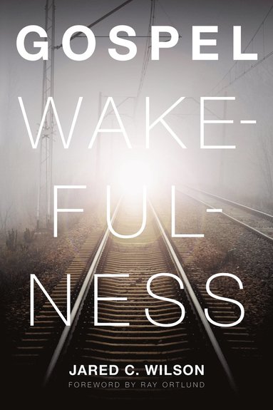 bokomslag Gospel Wakefulness