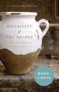 bokomslag Disability and the Gospel