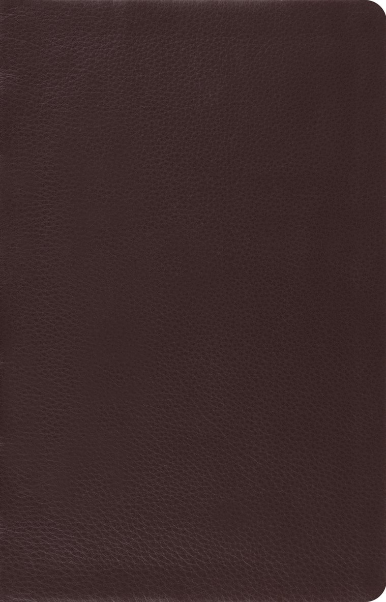 Esv Bibles - ESV Large Print Thinline Reference Bible, Inbunden