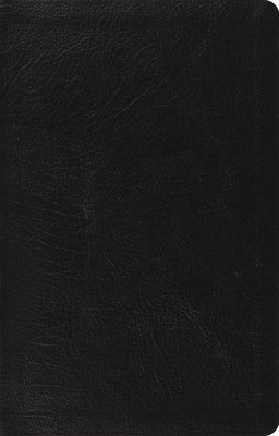 ESV Large Print Thinline Reference Bible 1