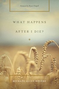 bokomslag What Happens After I Die?