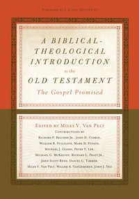 bokomslag A Biblical-Theological Introduction to the Old Testament