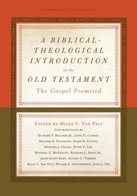 bokomslag Biblical-Theological Introduction to the Old Testament
