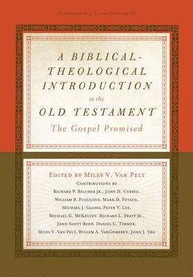 A Biblical-Theological Introduction to the Old Testament 1