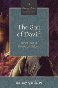 bokomslag The Son of David