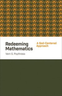 bokomslag Redeeming Mathematics