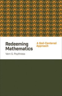 bokomslag Redeeming Mathematics