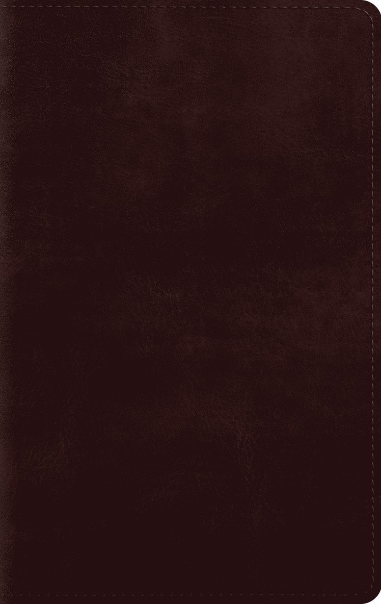 ESV Large Print Personal Size Bible, Red Letter