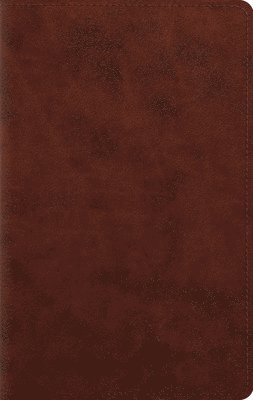 bokomslag ESV Large Print Personal Size Bible, Red Letter