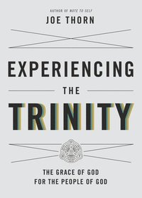 bokomslag Experiencing the Trinity