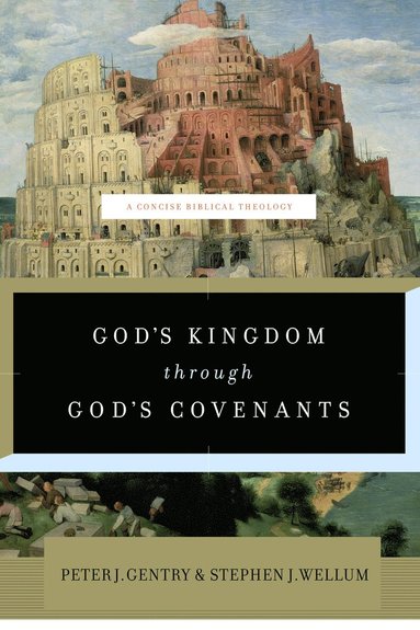 bokomslag God's Kingdom through God's Covenants