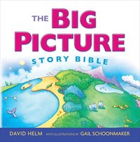 bokomslag The Big Picture Story Bible (Redesign)