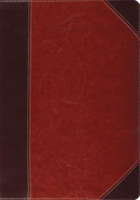 bokomslag ESV Study Bible, Indexed