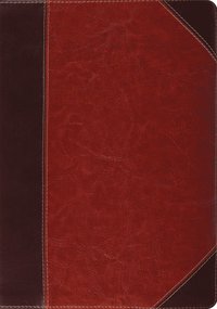 bokomslag ESV Study Bible, Thumb Indexed