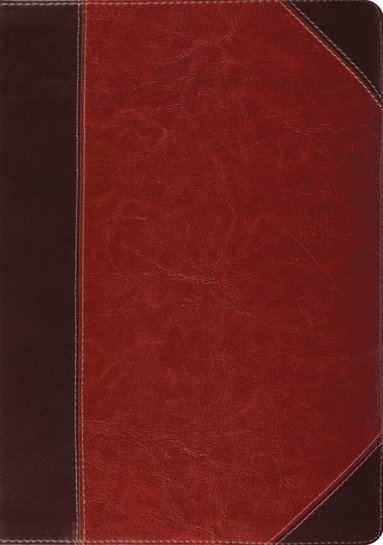 bokomslag ESV Study Bible, Thumb Indexed
