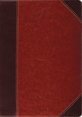 Esv Bibles - ESV Study Bible, Thumb Indexed, Inbunden