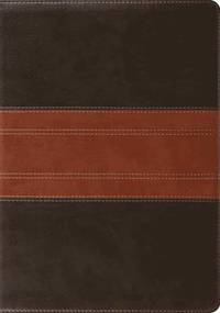 bokomslag ESV Study Bible