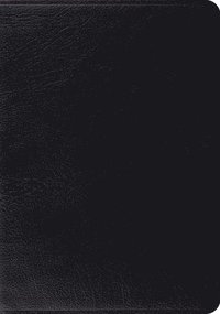 bokomslag ESV Study Bible, Thumb Indexed