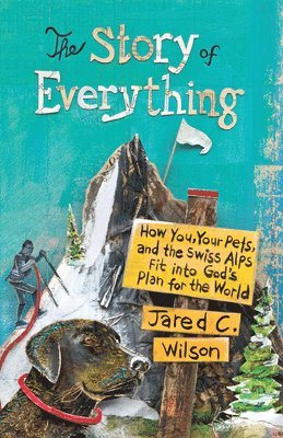 Jared C. Wilson, Jared C Wilson - Story of Everything, Häftad