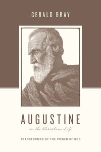 bokomslag Augustine on the Christian Life